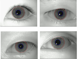 Iris Recognition by Optimized Code Book Generation